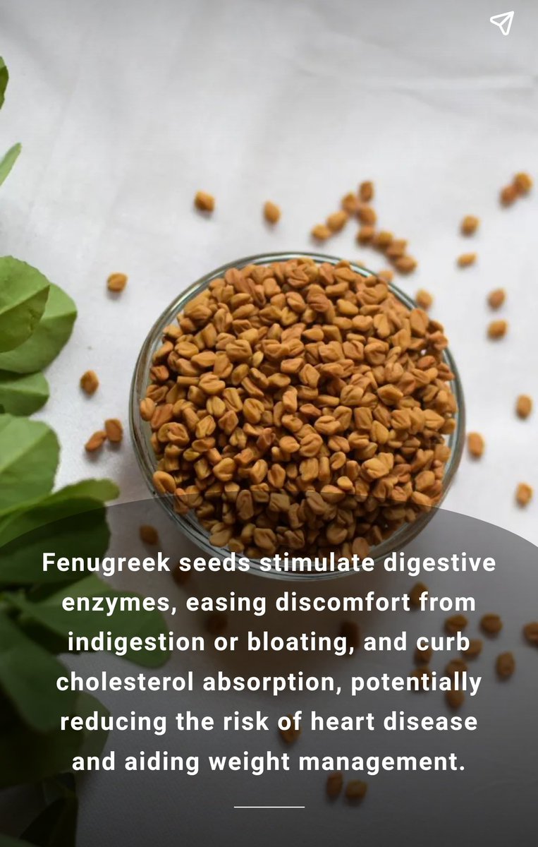 Fenugreek Seeds Medicinal Uses: Ayurvedic, Culinary, Diabetes, Breastfeeding, Inflammation, Digestion, Testosterone, Arthritis, Cancer, Menstrual cramps etc Price: 1,500 naira Dm To Order or Click 👇 📩wa.me/2347063009197 Location: Port Harcourt Nationwide Delivery 🚚