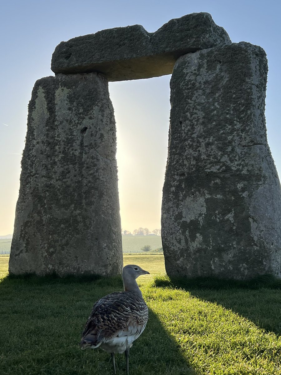 Sunrise at Stonehenge today (18th April) was at 6.05am, sunset is at 8.09pm 🌤️