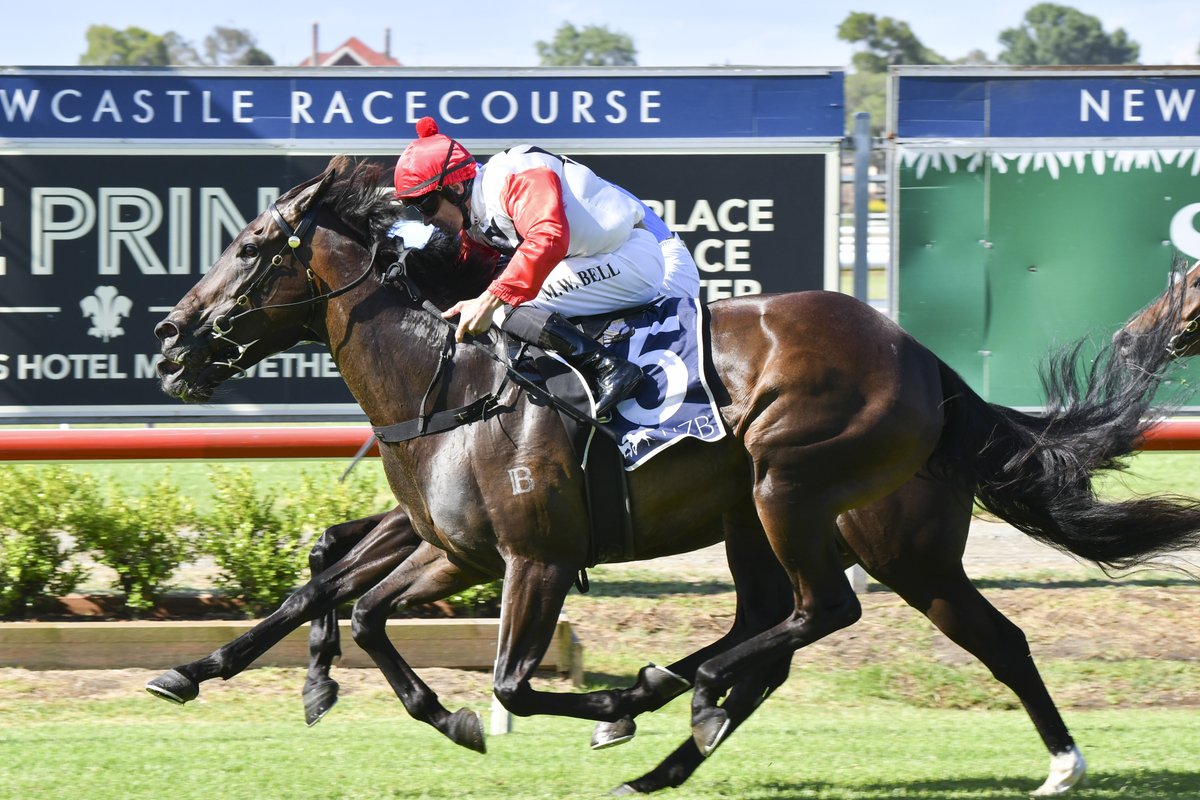 Unlucky Rapbidash ($8 into $6) is ready to atone in the Randwick TAB Highway on Saturday: “She’s a mare with a super turn of foot and can build momentum” - shorturl.at/CVXZ6