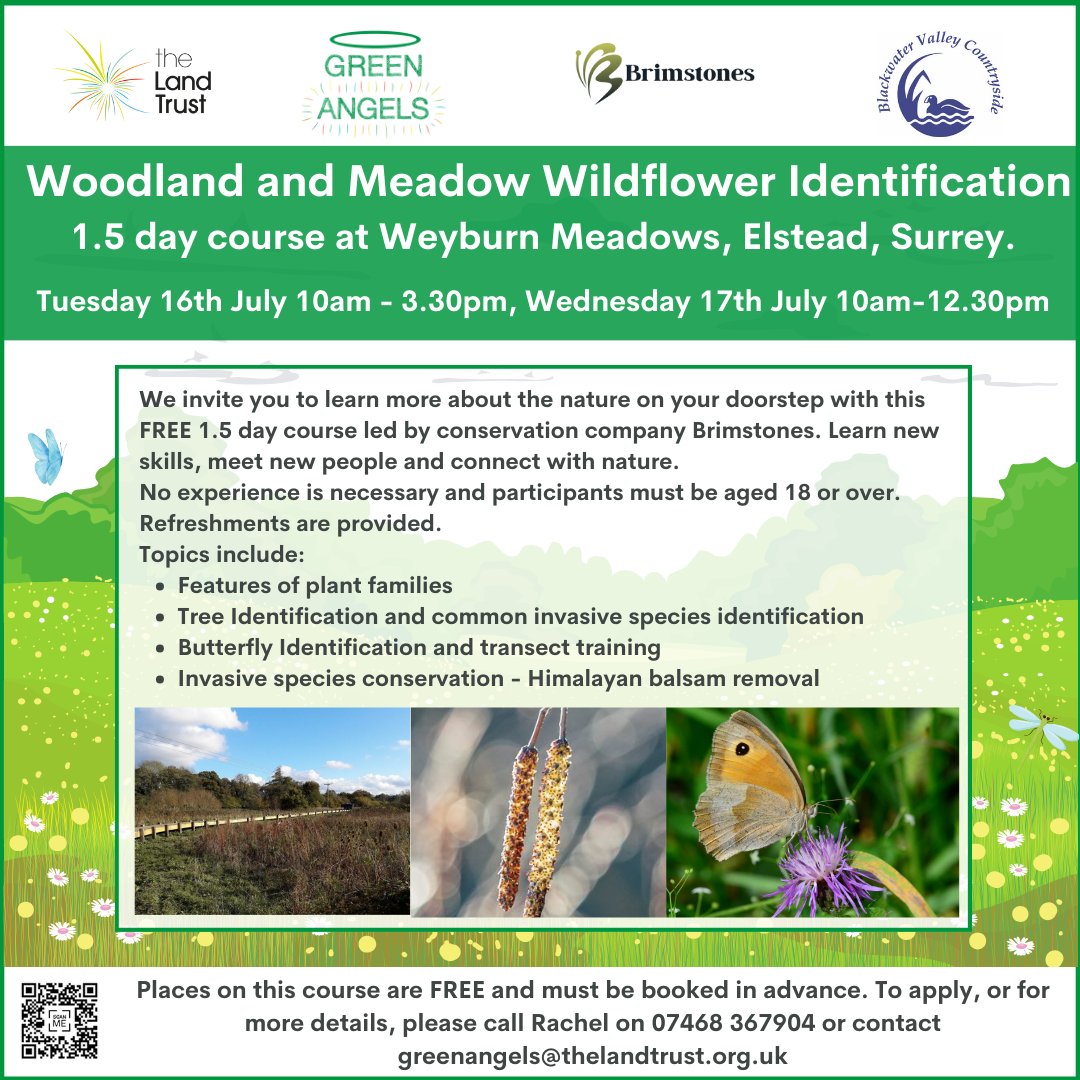 We are excited to be running a  @GreenAngelsLT course on a new site - Weyburn Meadows in #Elstead, #Surrey with Brimstones and @BlackwaterVall.  If you're interested in this FREE #Woodland & #Meadow #Wildflower identification course, contact Rachel greenangels@thelandtrust.org.uk