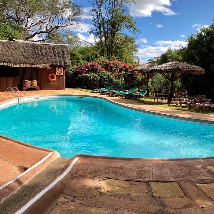 You definitely should take that safari to the enchanting Kilaguni Serena Safari lodge😍 To Book Call//WhatsApp :+254718394456 Email:deals@bonteladventures.com