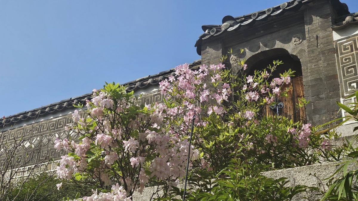 changdeokpalace tweet picture