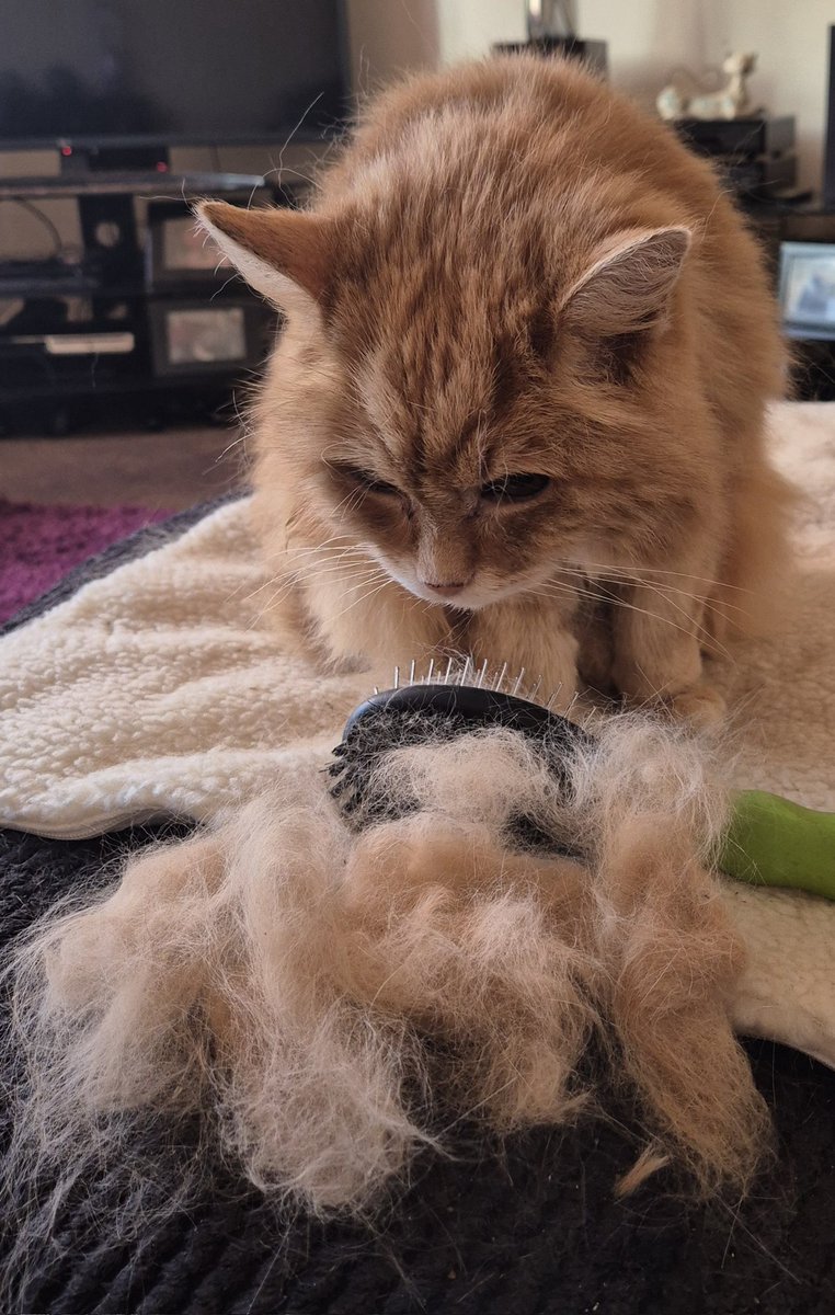 RED'S JEWELS tweet media