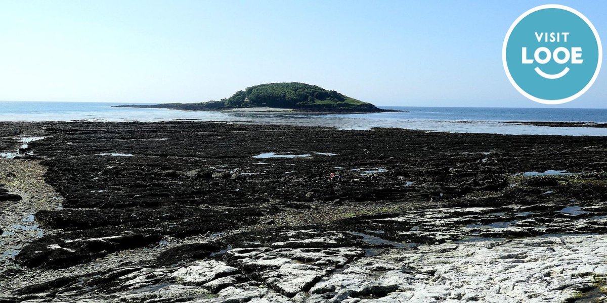 Sun 11 May Looe Marine Conservation Group are holding an early summer gathering on the beach, starting with a beach clean along the Hannafore shoreline/rocky shore. More info at buff.ly/3rFVgGi or email looemcg.events@gmail.com.
#beachclean #marineconservation #looe