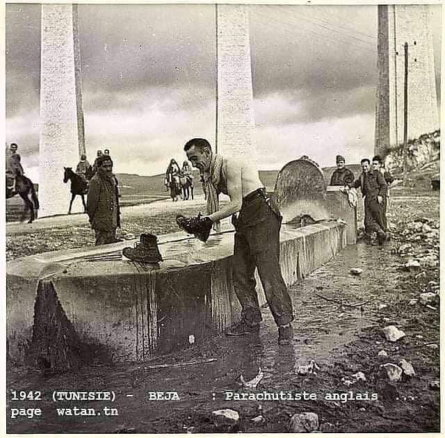 Tunisia 1942-1943: World War 2 History tweet media