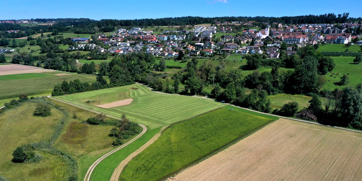 Le paysage agricole suisse abrite une grande diversité d’#espèces et de #milieux, parfois menacés. Une étude met en lumière différents facteurs directs et indirects, positifs et négatifs, ayant une influence sur la #biodiversité. ➡️ agrarforschungschweiz.ch/fr/2024/04/eff…