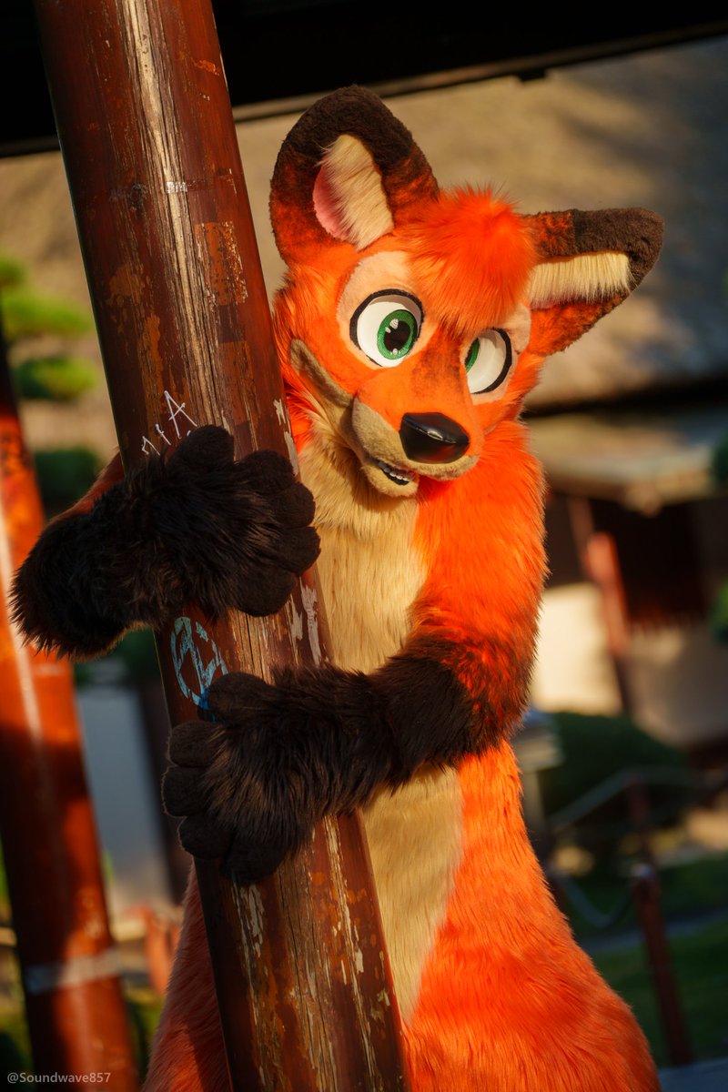 I would rather hug someone, instead of this pole 😩 📸: @Soundwave857 #furry #fursuit #eurofurence