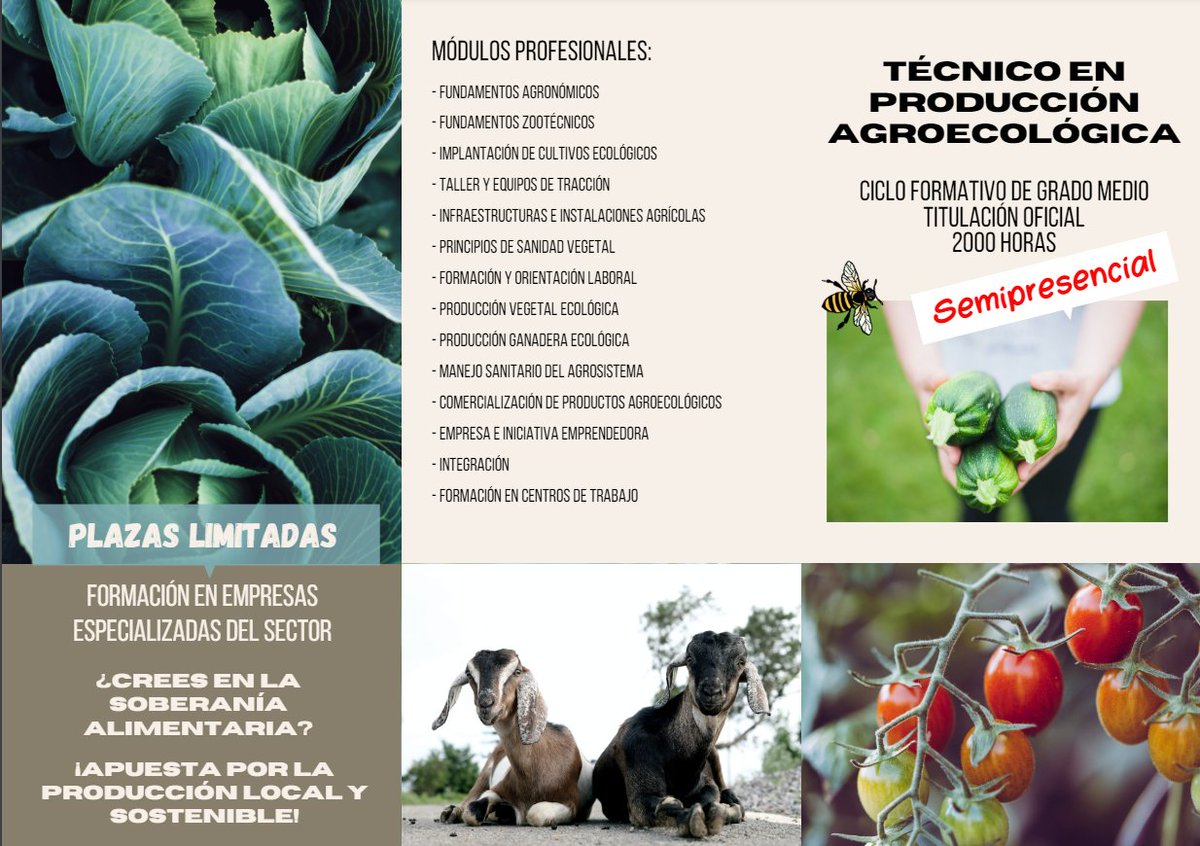 AgrocabildoTfe tweet picture