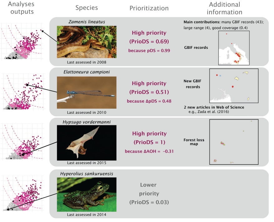 New on global conservation science: Data Deficient species on IUCN Red List are prioritized for reassessment with new method ➡️ ~2000 DD species could be reassessed into data-sufficient category right now! Cazalis et al. @ConBiology conbio.onlinelibrary.wiley.com/doi/10.1111/co…