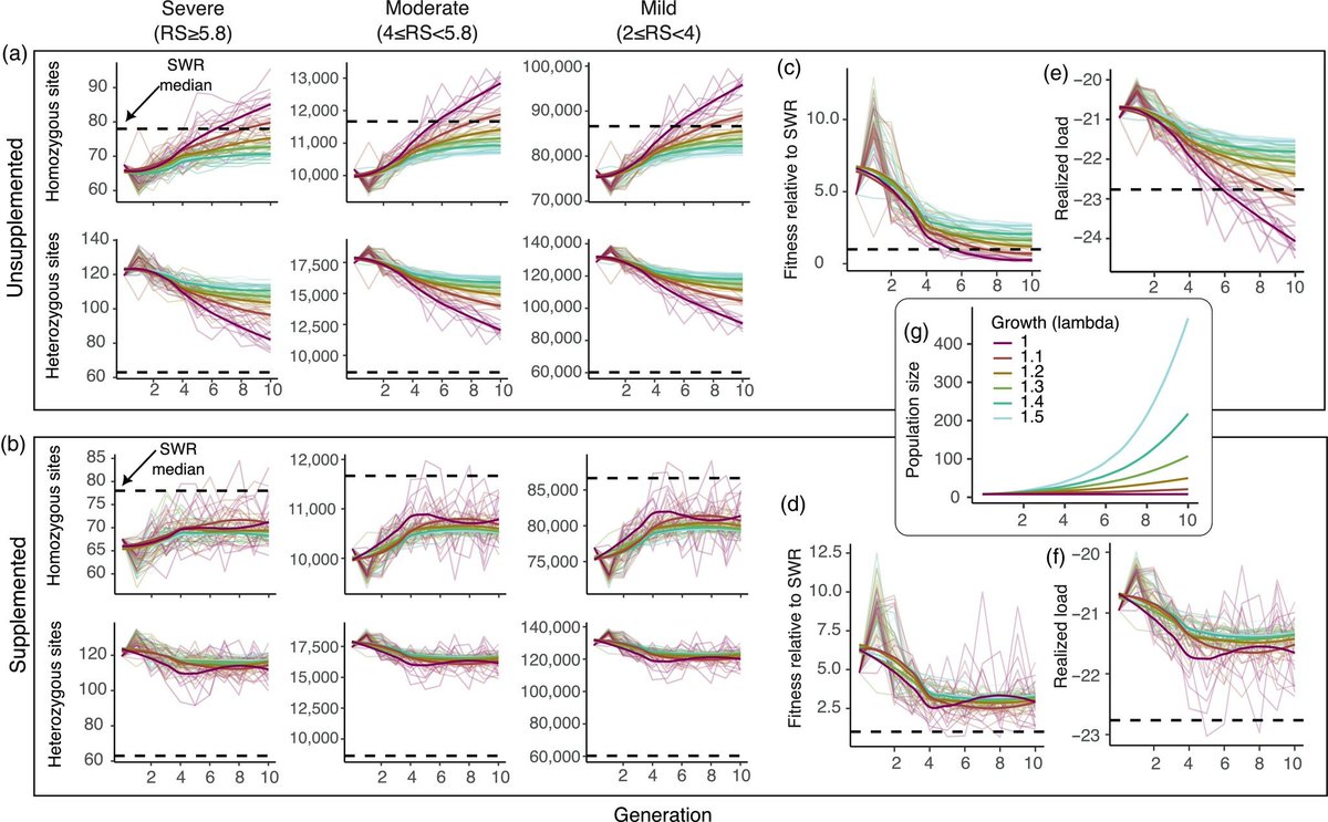 Genetic load and viability of a future restored northern white rhino population onlinelibrary.wiley.com/doi/full/10.11…