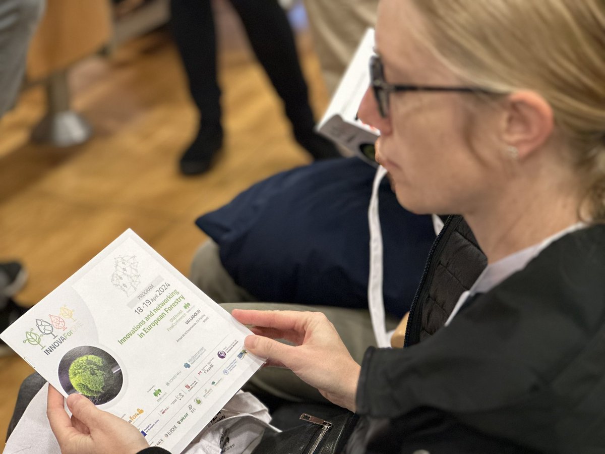 Oneforest_H2020's tweet photo. ☀️Good morning! 
⌛️ The #ONEforestFinalEvent, "INNOVAForONE: Innovations in Forestry and Synergies between EU Networks," just started! 

Hope you're ready!

 #INNOVAForONE #H2020 #EUforest #EUresearch https://t.co/EnVcVzzSUj