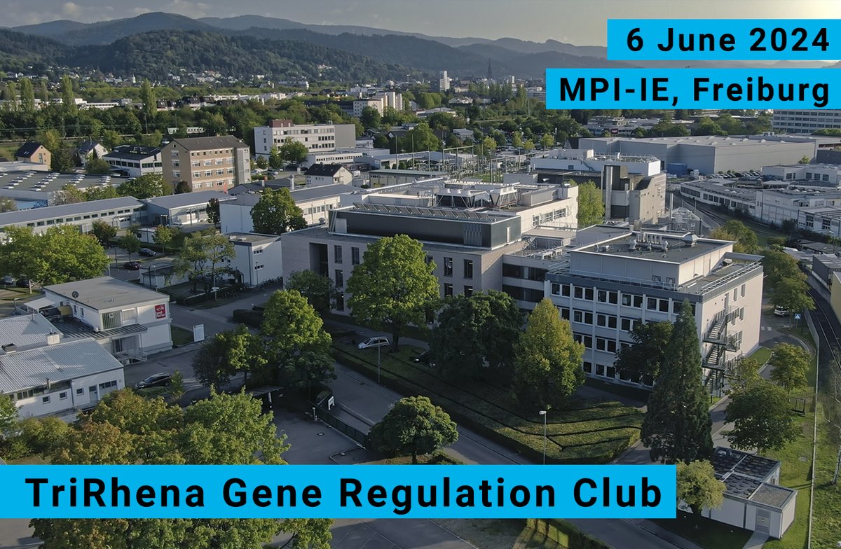 Registration open: TriRhena Gene Regulation Club on June 6, 2024, in Freiburg! The 1/2 day symposium brings together chromatin, epigenetics & transcription groups from @IGBMC Strasbourg 🇫🇷 + @mpi_ie Freiburg 🇩🇪 + @FMIscience Basel🇨🇭. Save your spot ➡️ ie-freiburg.mpg.de/gene-regulatio… ⬅️