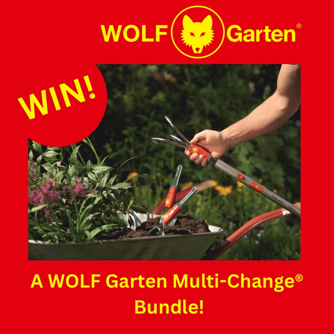 allotmentonline's tweet photo. 🪴LAST CHANCE COMPETITION!🪴
Ends midnight tonight!
Enter for the chance to WIN a @WOLFGartenUK multi-change ® bundle!
🪴Please follow them & us ❤️ this post
🪴Please RT, tag and comment with #gardentools
🪴 Enter here: https://t.co/vWhId0p5CB
#wolfgarten #multichange #gardenlife #win