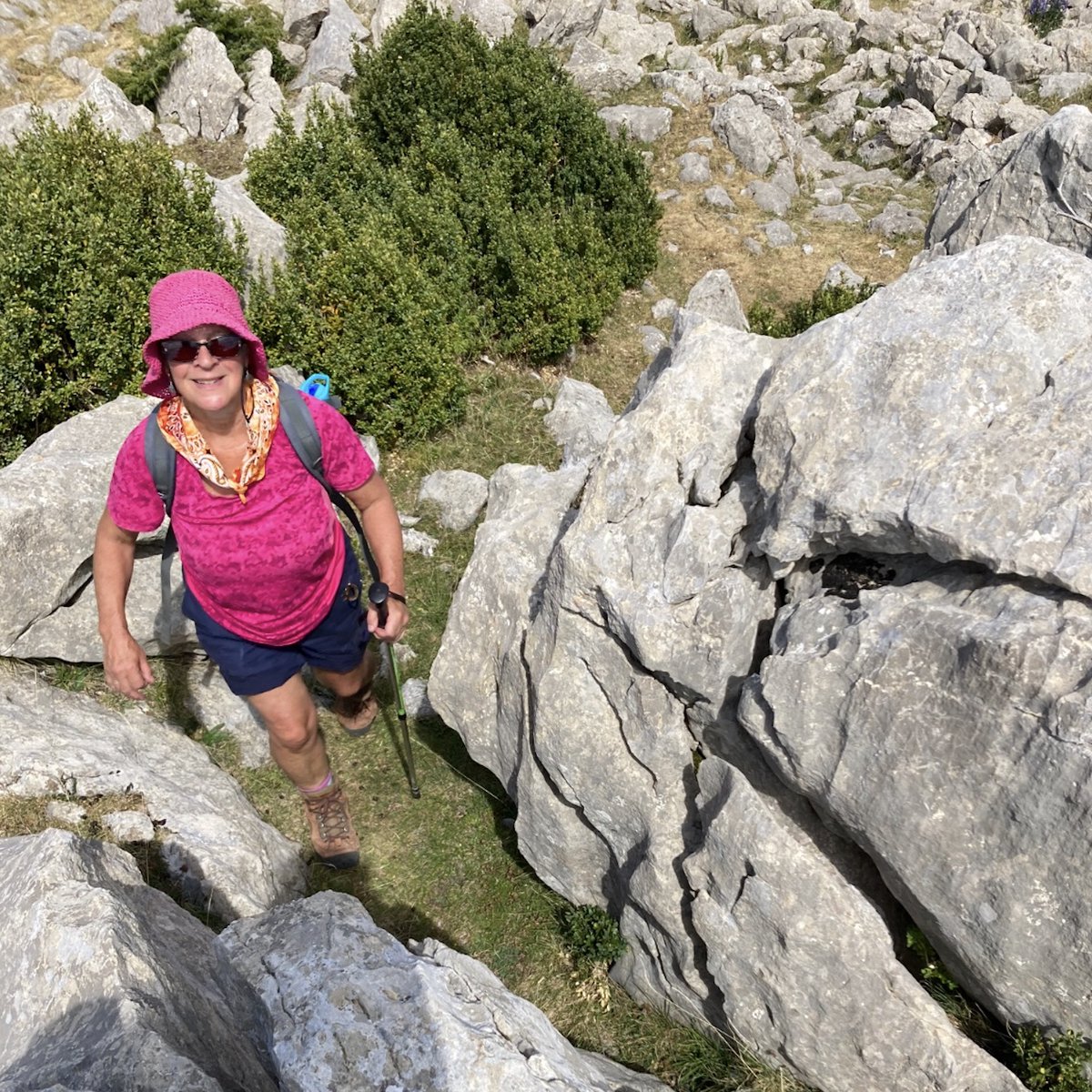 museumofwalking's tweet photo. Our latest podcast episode - twice shortlisted for the #soundwalkseptember #award Tamsin Grainger talking walking https://t.co/rtIfPJ5vu8 https://t.co/1X6msWahMe