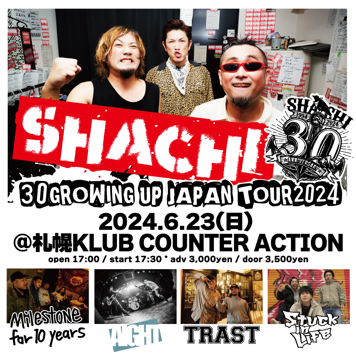 SHACHI_official tweet picture