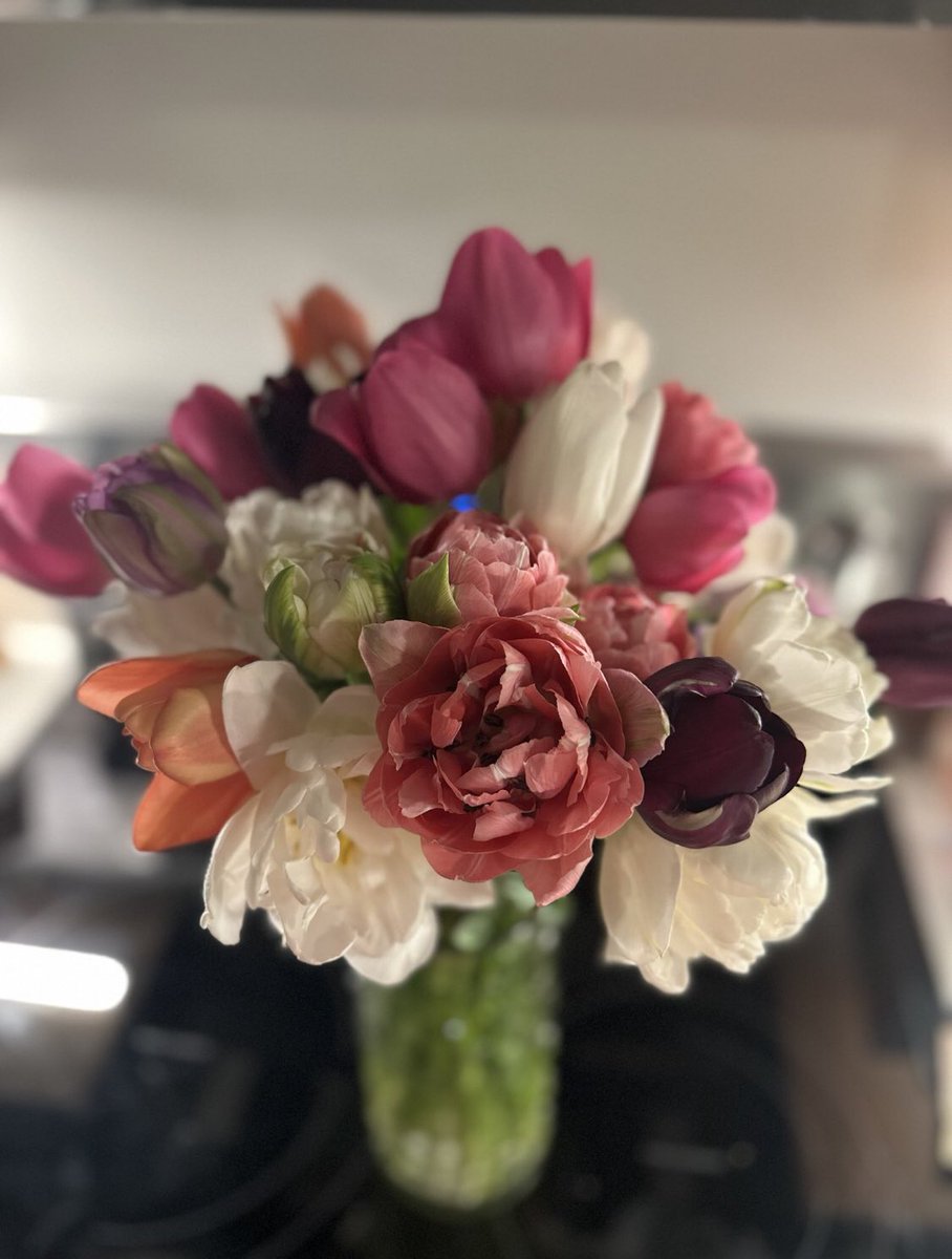 The housing organization that found me an apartment here sent the most beautiful flowers today that they grew 🤍