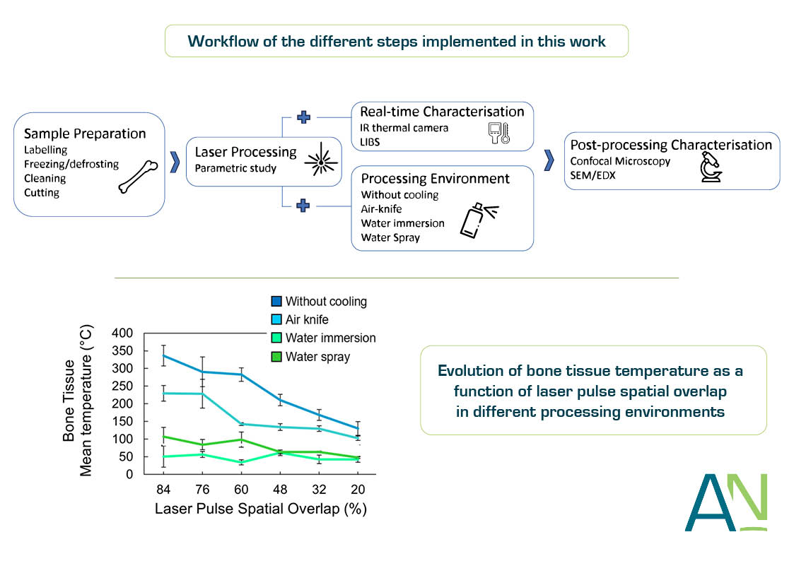 ALPhANOV_'s tweet photo. The application of femtosecond laser technology for #healthcare🧾
Our engineers published an article on @Bioeng_MDPI:
Real-Time Monitoring of Thermal Phenomena during Femtosecond Ablation of Bone Tissue for Process Control👉https://t.co/ZFEy9FClxH
#femtosecondlaser #bonetissue https://t.co/sXQKiYOWi3