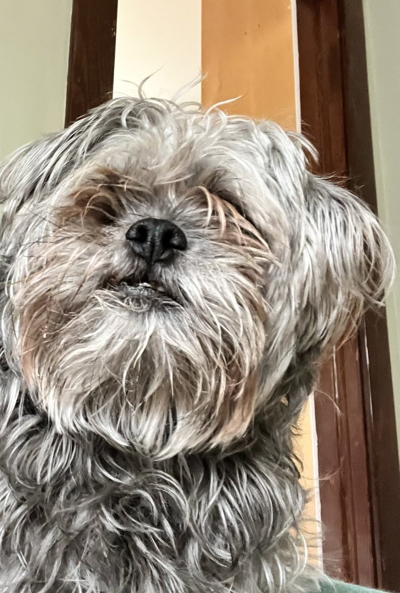 rowan ♡ tweet media