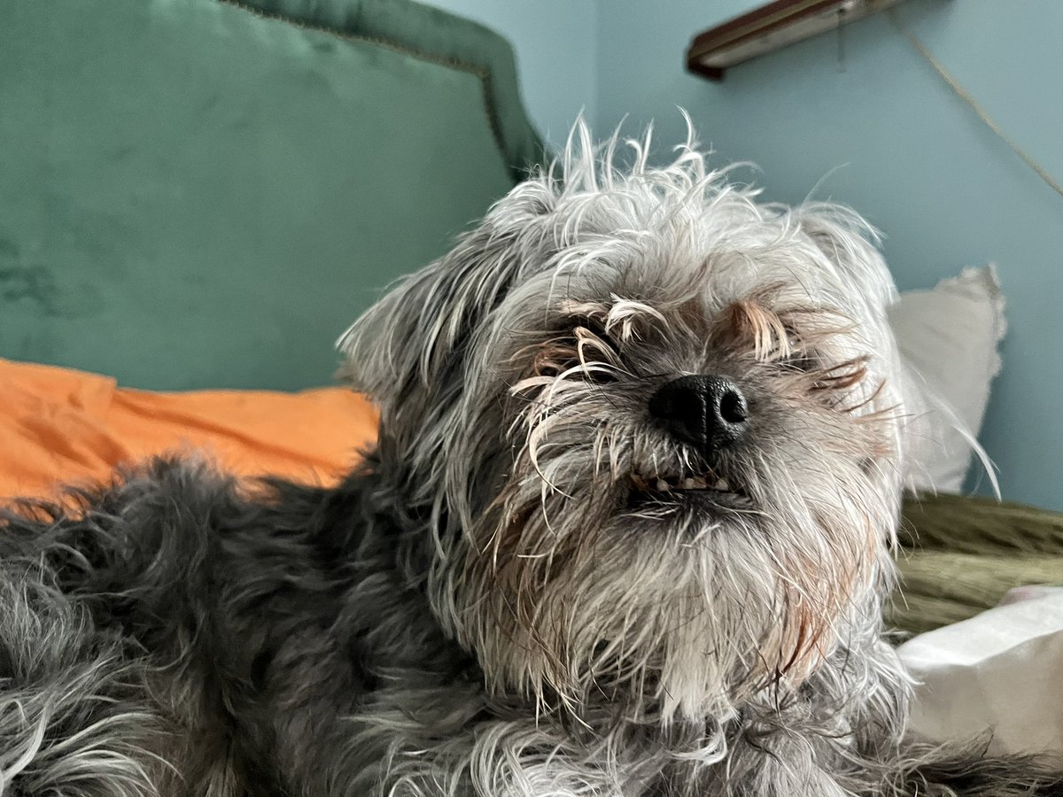 rowan ♡ tweet media