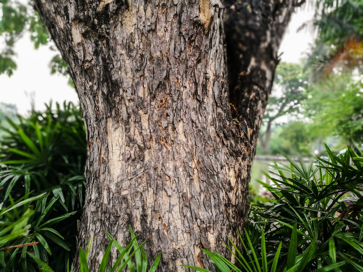 BIOBUILD tweet media