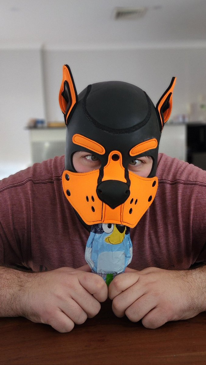 Cur1ousCub tweet media