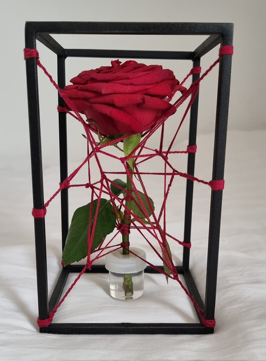 JaredShibari's tweet image. 