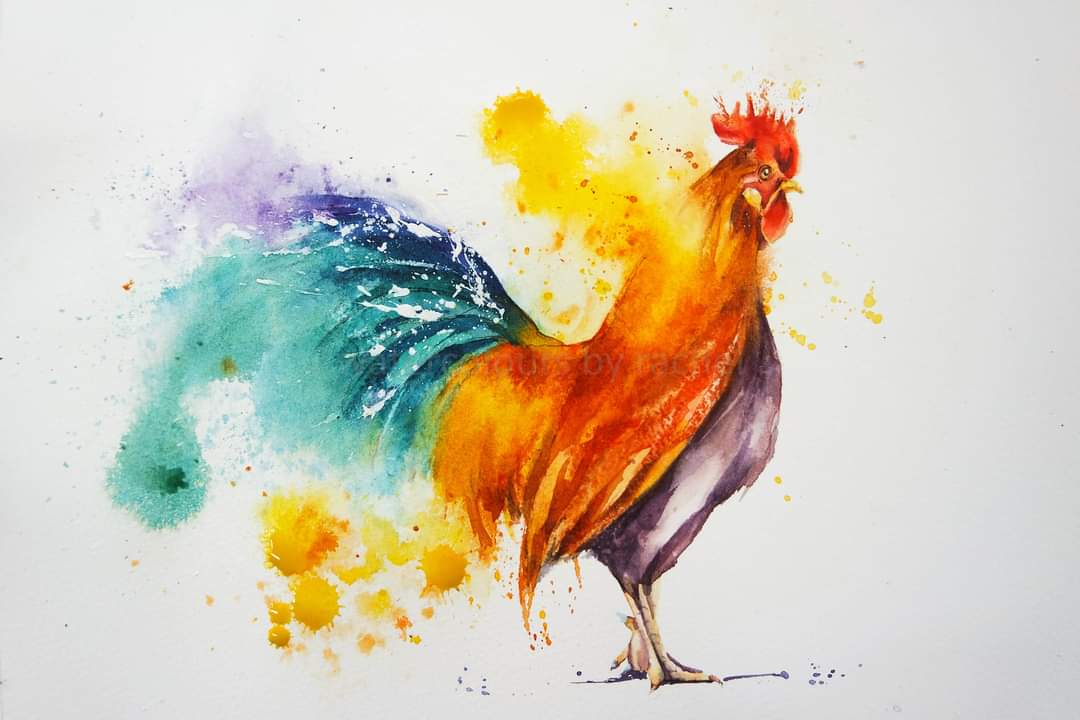 Elidanza's tweet image. Good morning x

#watercolour #watercolourpainting #brightcolours #loosewatercolour #cockerel #birds #fun #painting #art #artist #paint #feathers #Devon #inspiration