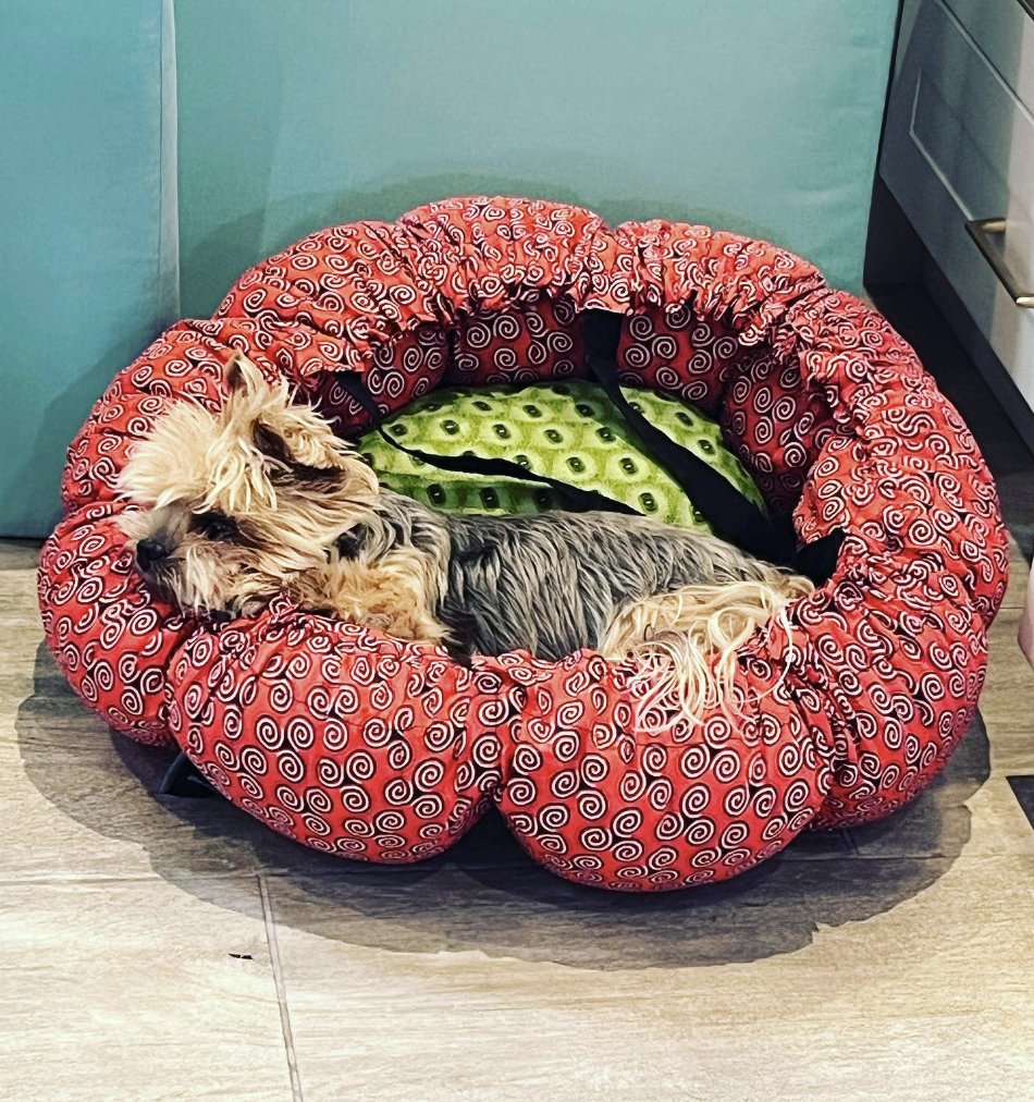 POV: When everyone at home wants to use the #Wonderbag! Let us know if you're guilty of letting your pet have a cosy lie-in 🙌 Repost from: Cindy Brand, thank you for sharing with us!