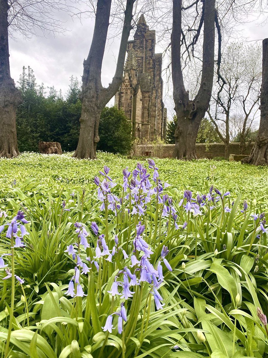 Wishing you a happy Thursday from Guisborough Priory, North Yorkshire 😊