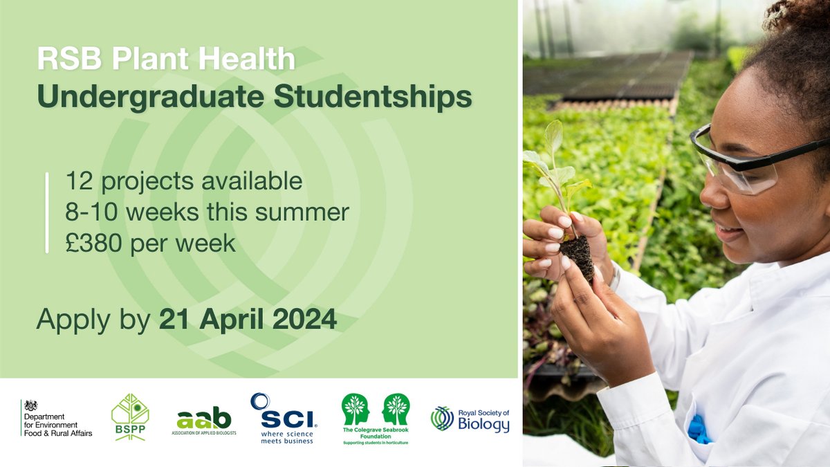 Applications for our #PlantHealth Undergraduate Studentships close this Sunday, 21st April! 🌾 Gain paid research experience in plant science this summer, and contribute to solving a critical global challenge. Apply now at rsb.org.uk/PHUGS