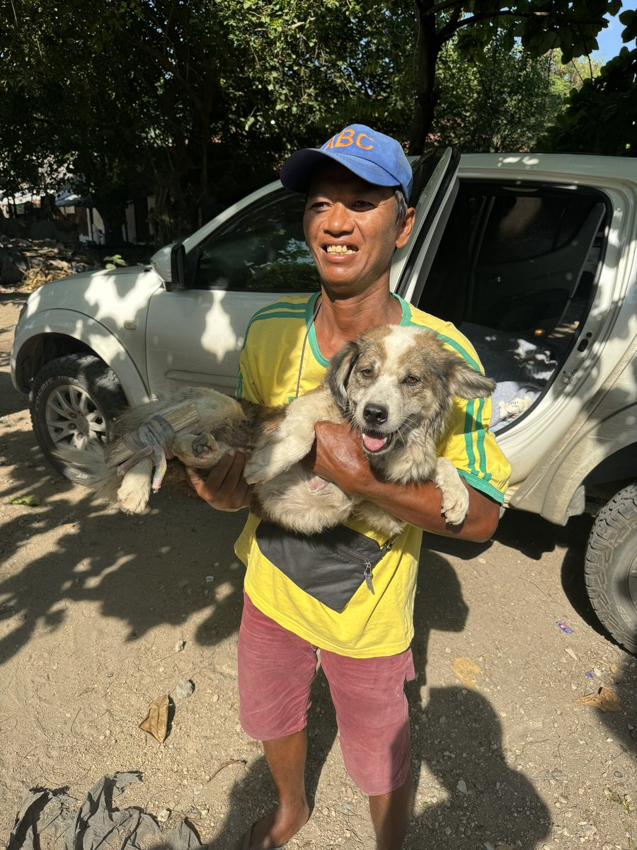 This little street dog desperately needed help today. He’s in a bad way but luckily he had some very kind locals looking out for him. It’s a story that starts sad but which is already turning hopeful. I called him Mario and I’ll explain why at the end (1/8) 🧵