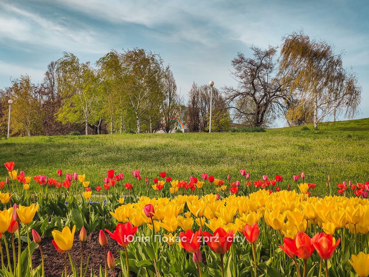 Прекрасне місто 🌷💙💛
Фото Юлії Покас
#Запоріжжя #Запорожье #zprzcity