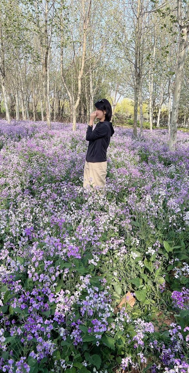 2duang2dang's tweet photo. 花海世界 https://t.co/sRFdETFbTc
