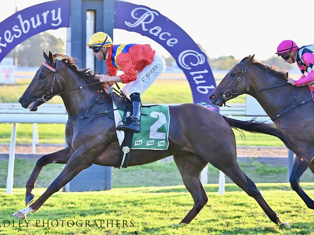 Bojangles takes terrific winning record to 3 wins from just 6 starts winning 1st-up @hawkesburyrc today with @TommyBerry21 aboard. The Showtime @ArrowfieldStud 3yo raced greenly in the home straight #stilllearninghistrade #plentyofupside #welldoneteam 👏👏🏇