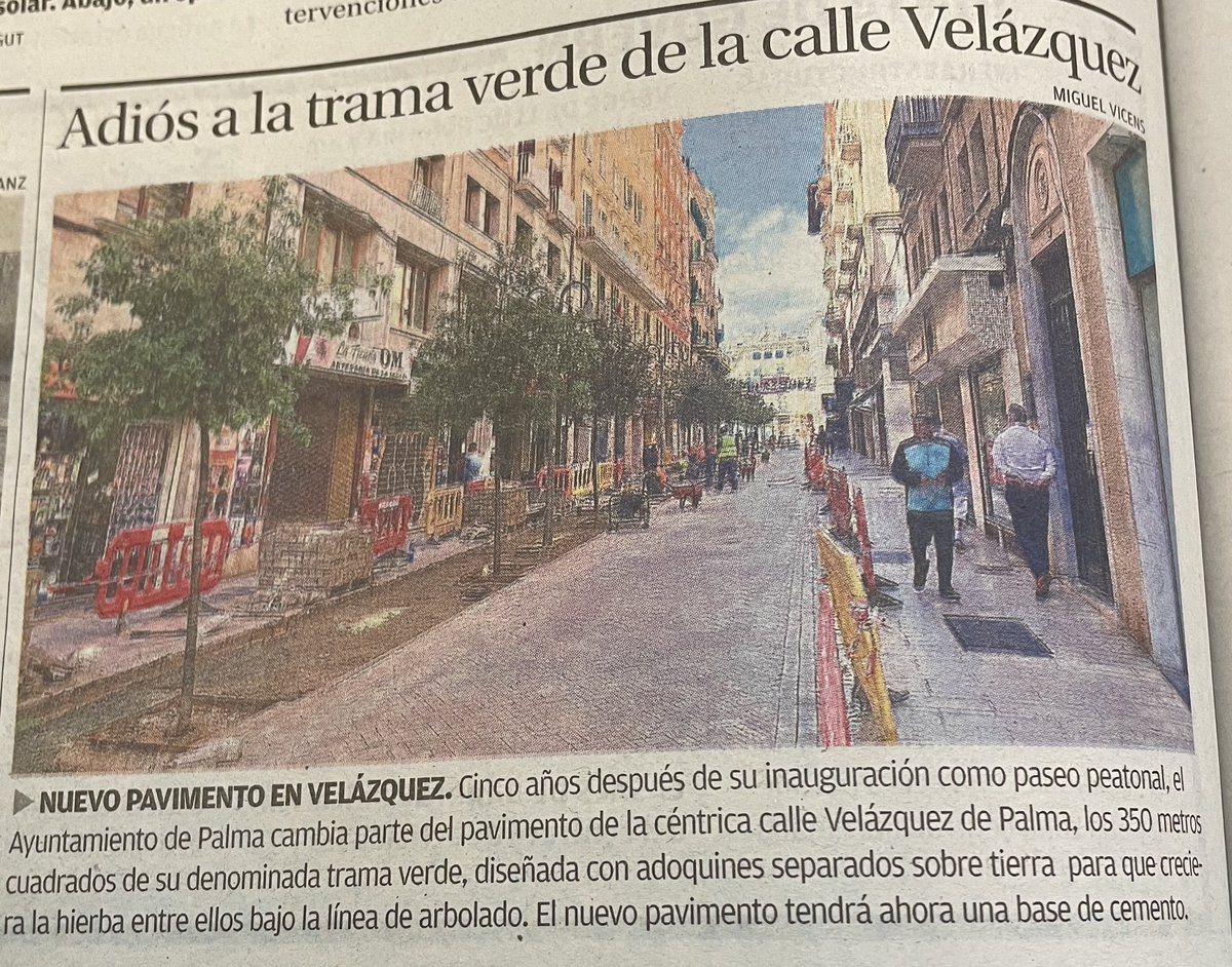 No don crèdit...
A l'Ajuntament de Palma no li va bé que hi hagi paviment que deixi entrar aigua a les arrels de les alzines o que hi creixin unes herbetes.
Prefereix  canviar-ho i encimentar-ho tot. 🫣
<a href="/ArbresDe/">Arbres de Palma</a>