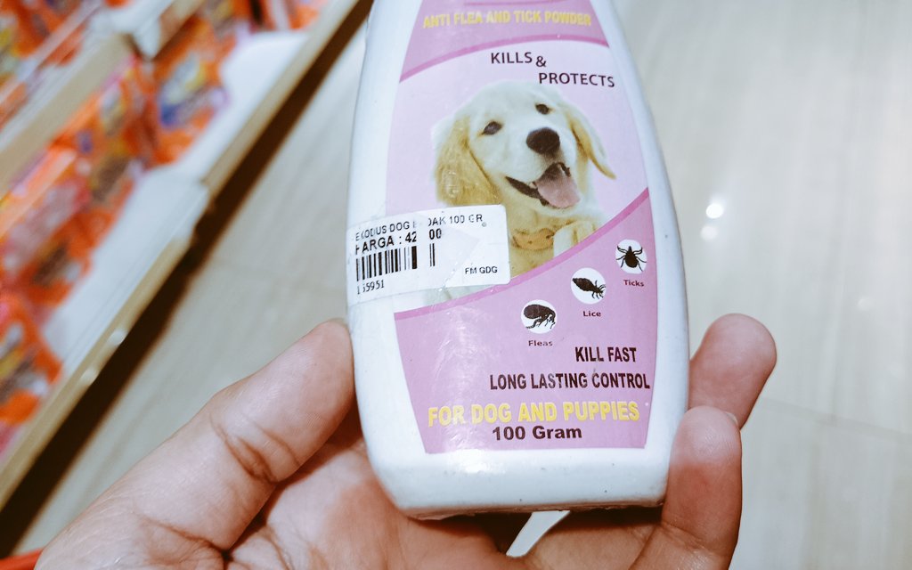 Hello,
2x taepret, 3 sih sbnrny yang atu terlanjur basyah
Announce nya GD pas WI malah belok ke PR Pake acara blg ga terlalu perlu GD krn msh bisa pake Canva
Ngapain ditaro di announcement klo ga nyari. 
#recruiter #situsehat #seriusnanya