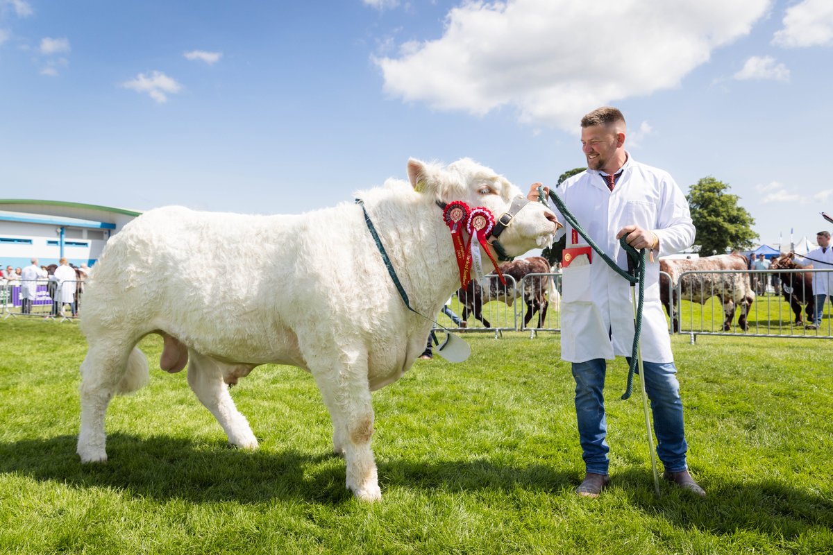 Livestock & Equine incl. Beef, Dairy, Sheep, Goat, Light Horse and Heavy Horse entries have been EXTENDED and will now close at 23:59 on Monday 22 April Make sure to register, enter and view schedules now: royalhighlandshow.org/trade-competit…