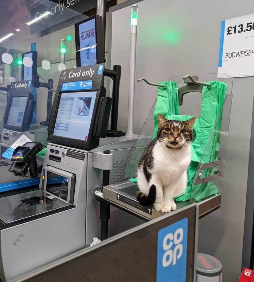 NoContextBrits's tweet photo. Unexpected item in bagging area. https://t.co/DTgC6NkRIL