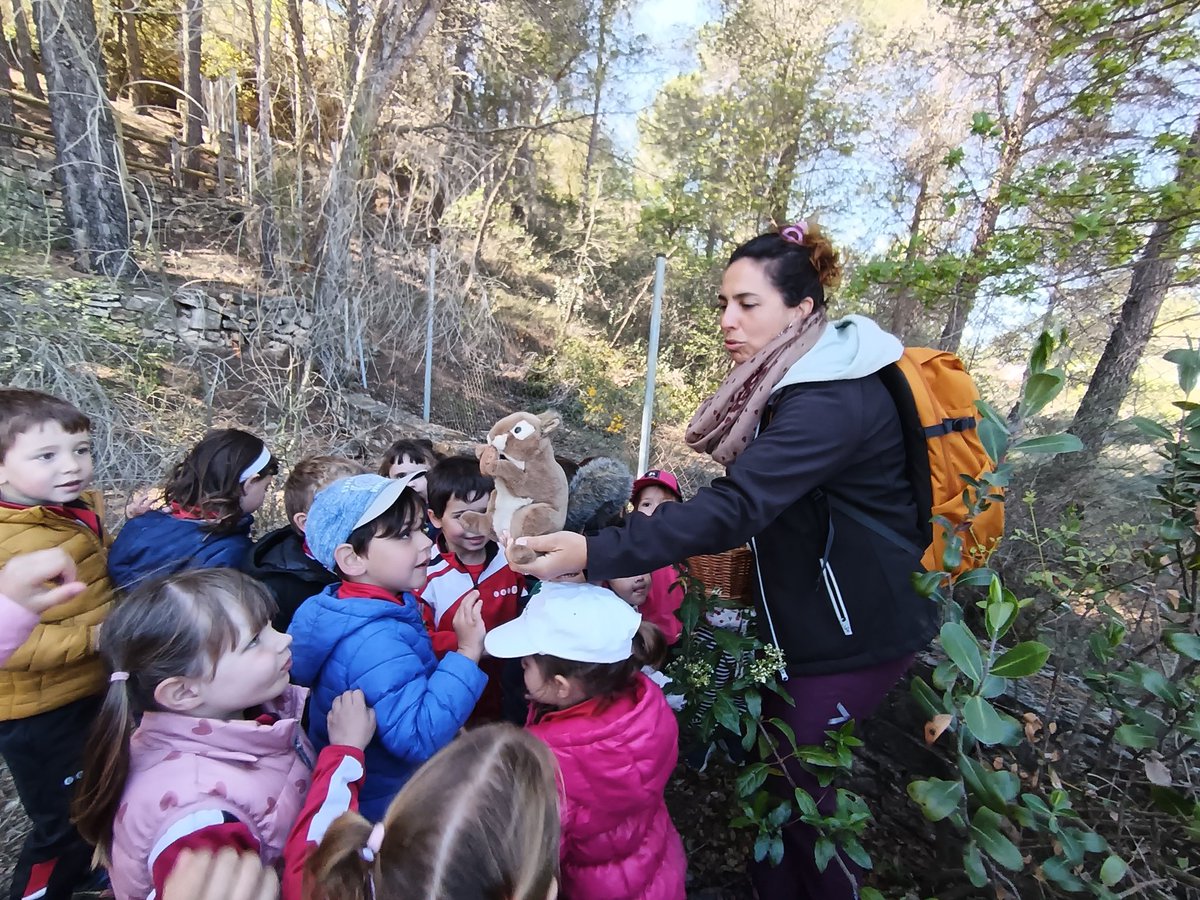 Col·legi MDS tweet media