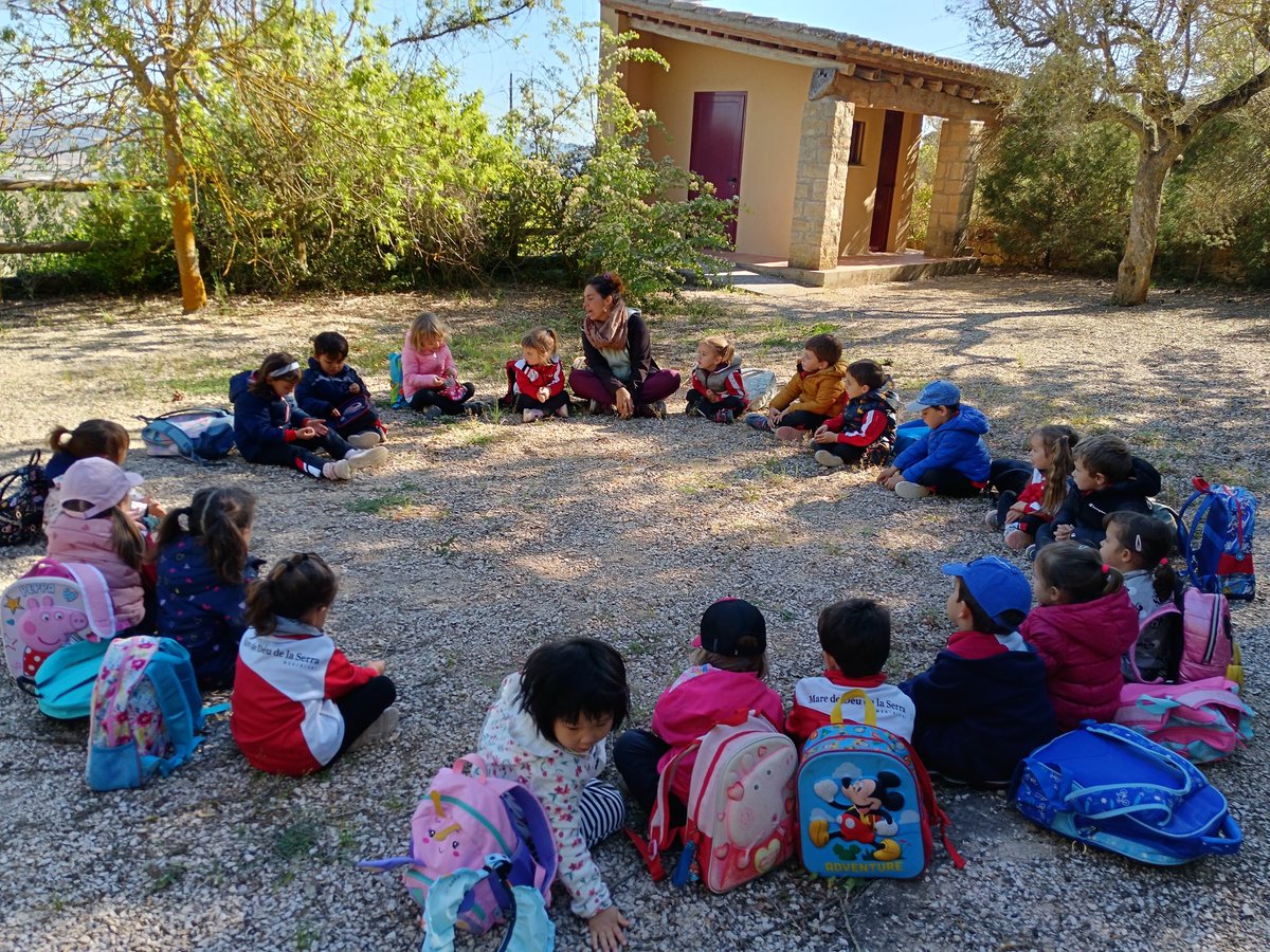 Col·legi MDS tweet media