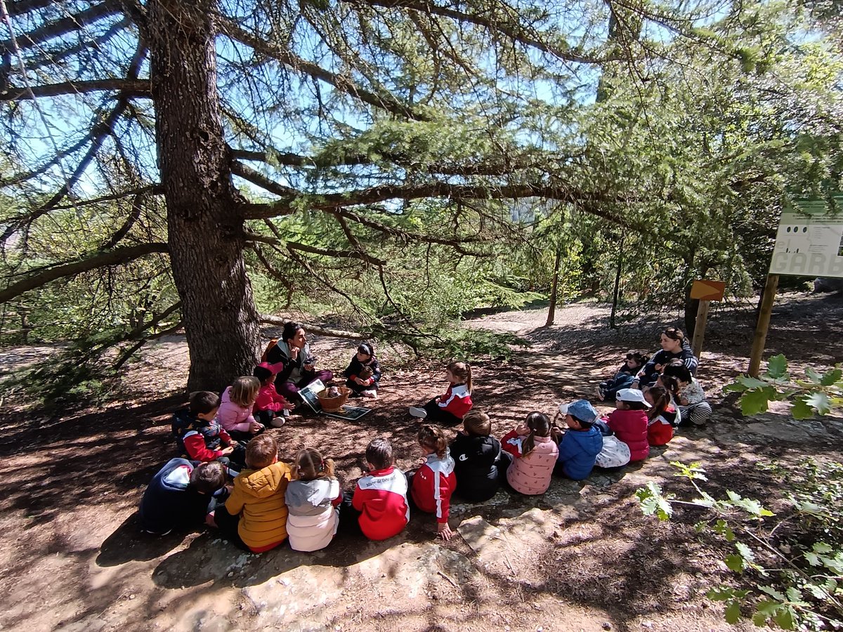 Col·legi MDS tweet media