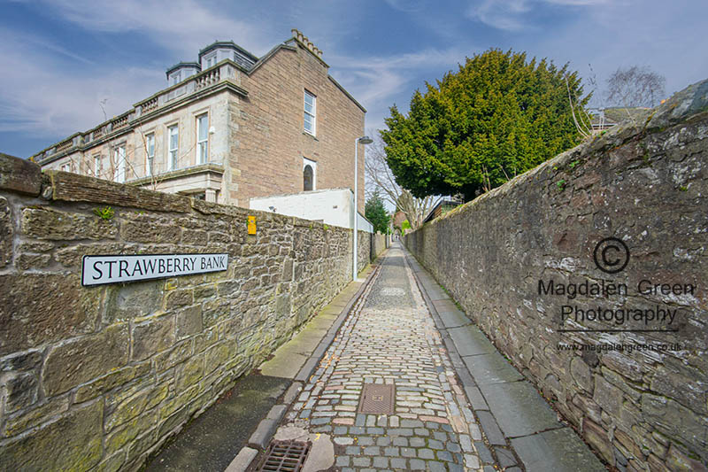 MagdalenGreen's tweet image. My #ThrowbackThursday image for today is this #wideangle  #belter of the #classic #dundee #cobbledlane #strawberrybank  in #dundeewestend @VisitScotland  @dundeecity #bonniedundee