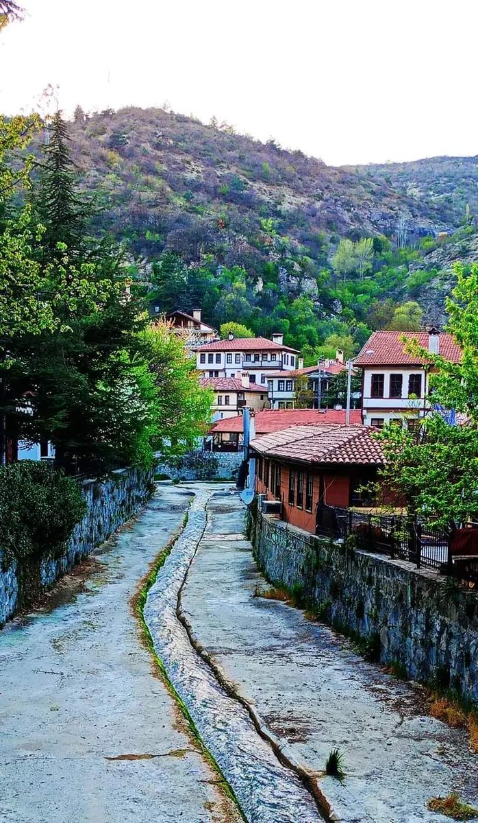 BOLU / Göynük