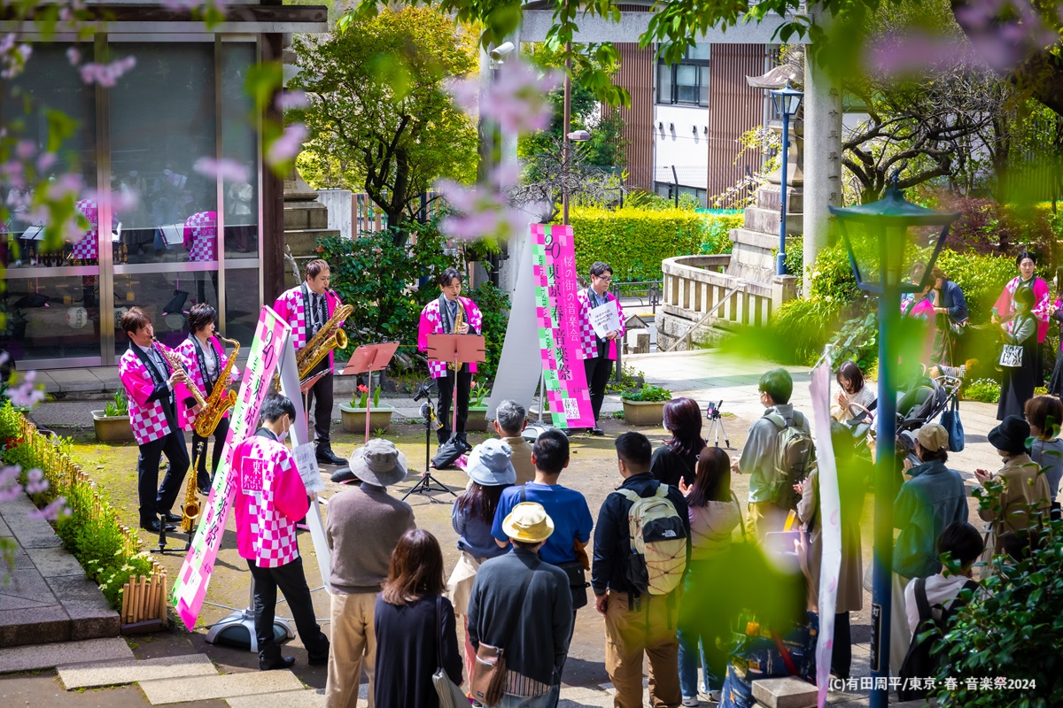tokyo_harusai's tweet photo. 📸公演写真到着📸
🌸桜の街の音楽会🌸
4月10日～4月13日　に開催された無料のミニ・コンサート「桜の街の音楽会」の様子をご紹介。

公演写真はFacebookの「アルバム」にもUpしています！
https://t.co/76BMGDkccY

#東京春音楽祭 #行こうハルサイ #東京春祭フォトギャラリー #桜の街の音楽会 https://t.co/ccPrSAQXPJ