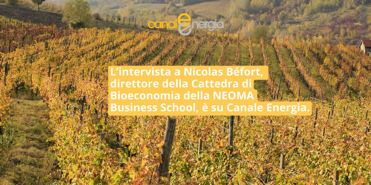 canaleenergia (@canaleenergia) on Twitter photo Il modello di #vitivinicoltura #sostenibile della regione della #Champagne
Ne parliamo con il professor <a href="/NicoBefort/">Nicolas Befort</a>, direttore della Cattedra di #Bioeconomia e Sviluppo sostenibile della <a href="/NEOMAbs/">NEOMA Business School</a>, che ha realizzato uno studio sul tema: canaleenergia.com/rubriche/carbo… Il modello di #vitivinicoltura #sostenibile della regione della #Champagne
Ne parliamo con il professor <a href="/NicoBefort/">Nicolas Befort</a>, direttore della Cattedra di #Bioeconomia e Sviluppo sostenibile della <a href="/NEOMAbs/">NEOMA Business School</a>, che ha realizzato uno studio sul tema: canaleenergia.com/rubriche/carbo…