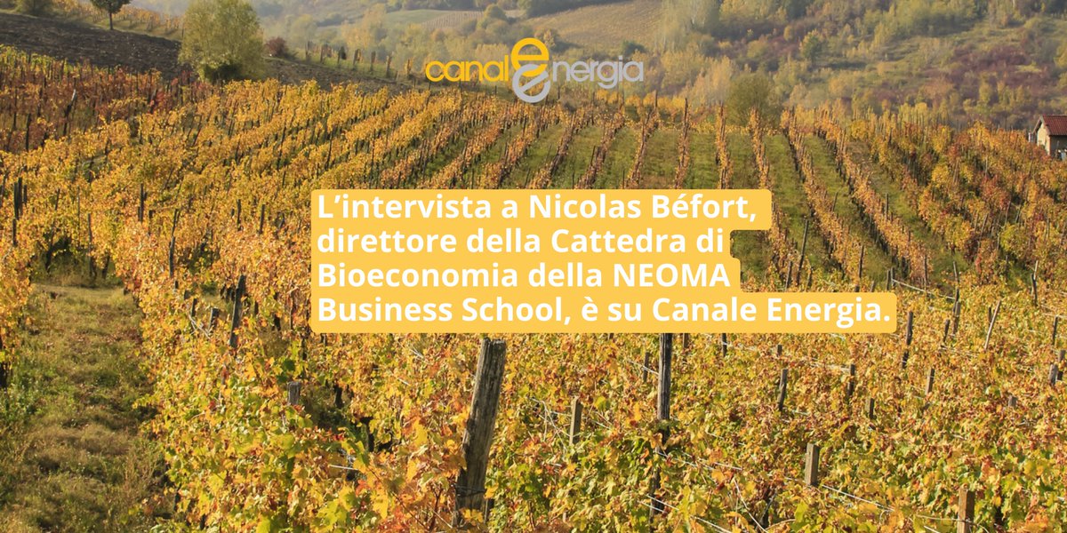 Il modello di #vitivinicoltura #sostenibile della regione della #Champagne Ne parliamo con il professor @NicoBefort, direttore della Cattedra di #Bioeconomia e Sviluppo sostenibile della @NEOMAbs, che ha realizzato uno studio sul tema: canaleenergia.com/rubriche/carbo…