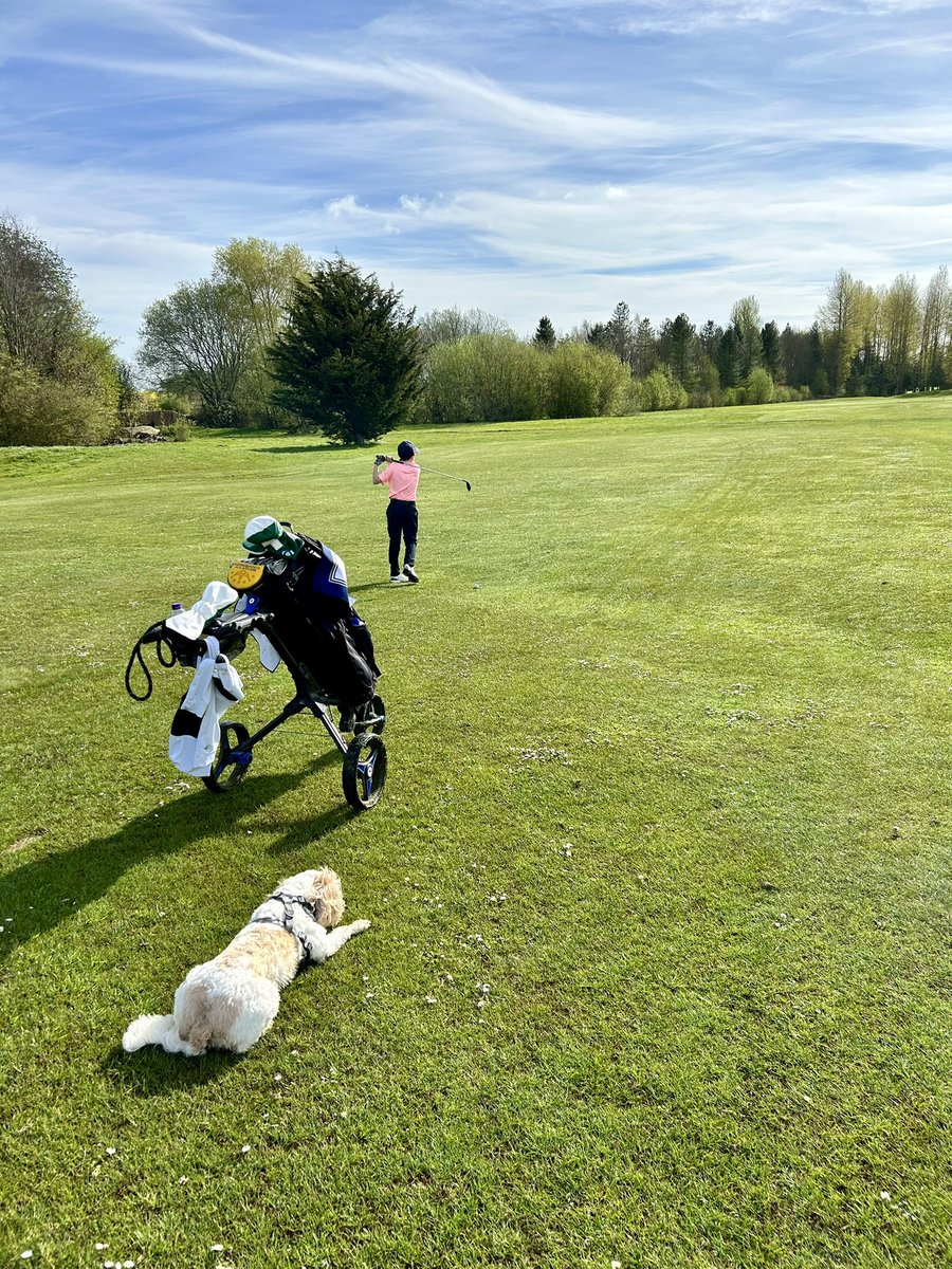 ☀️ ⛳️ 🐶