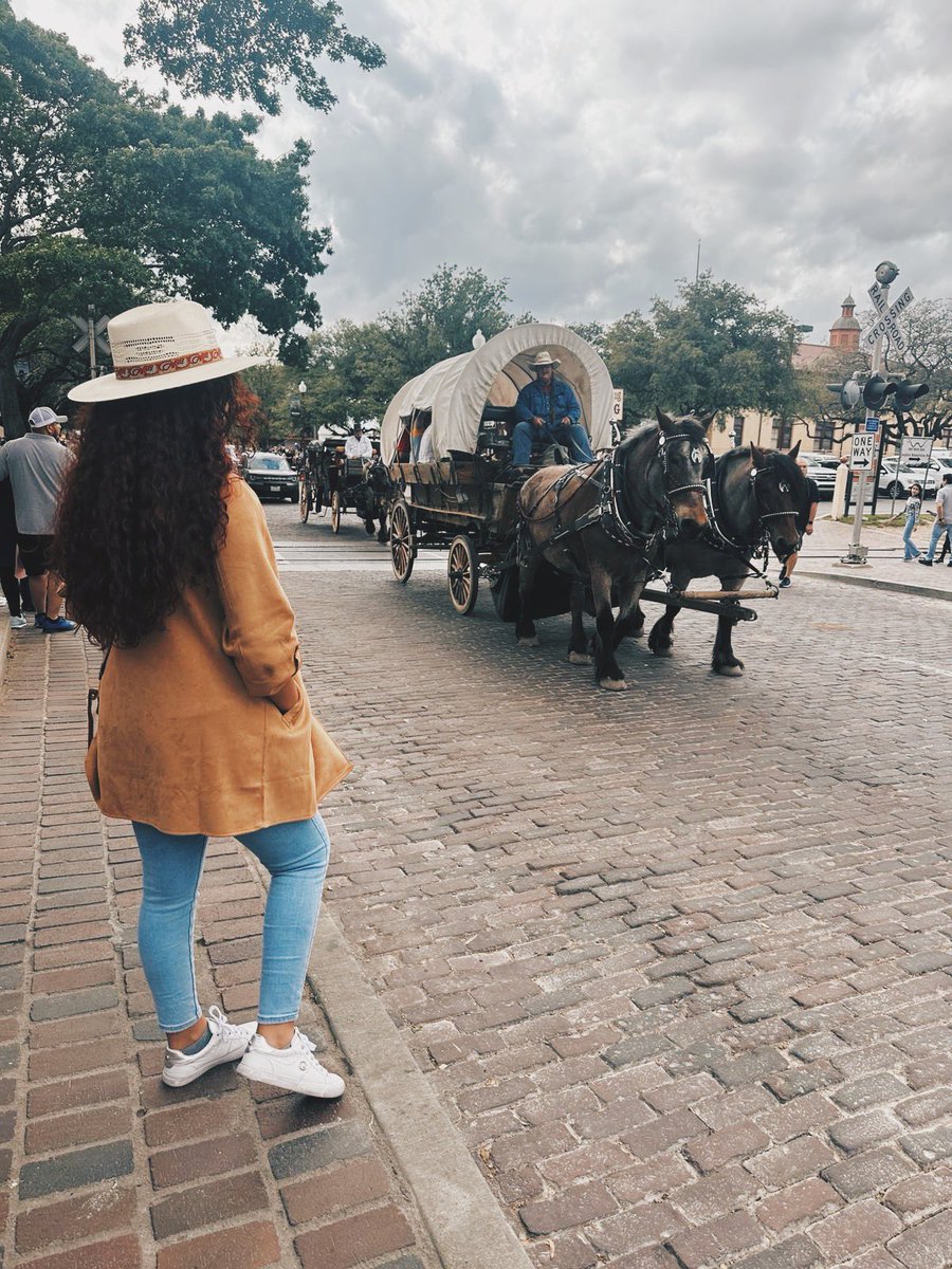 vacr_1's tweet photo. 🐴🤠 https://t.co/NsUMm27QLT