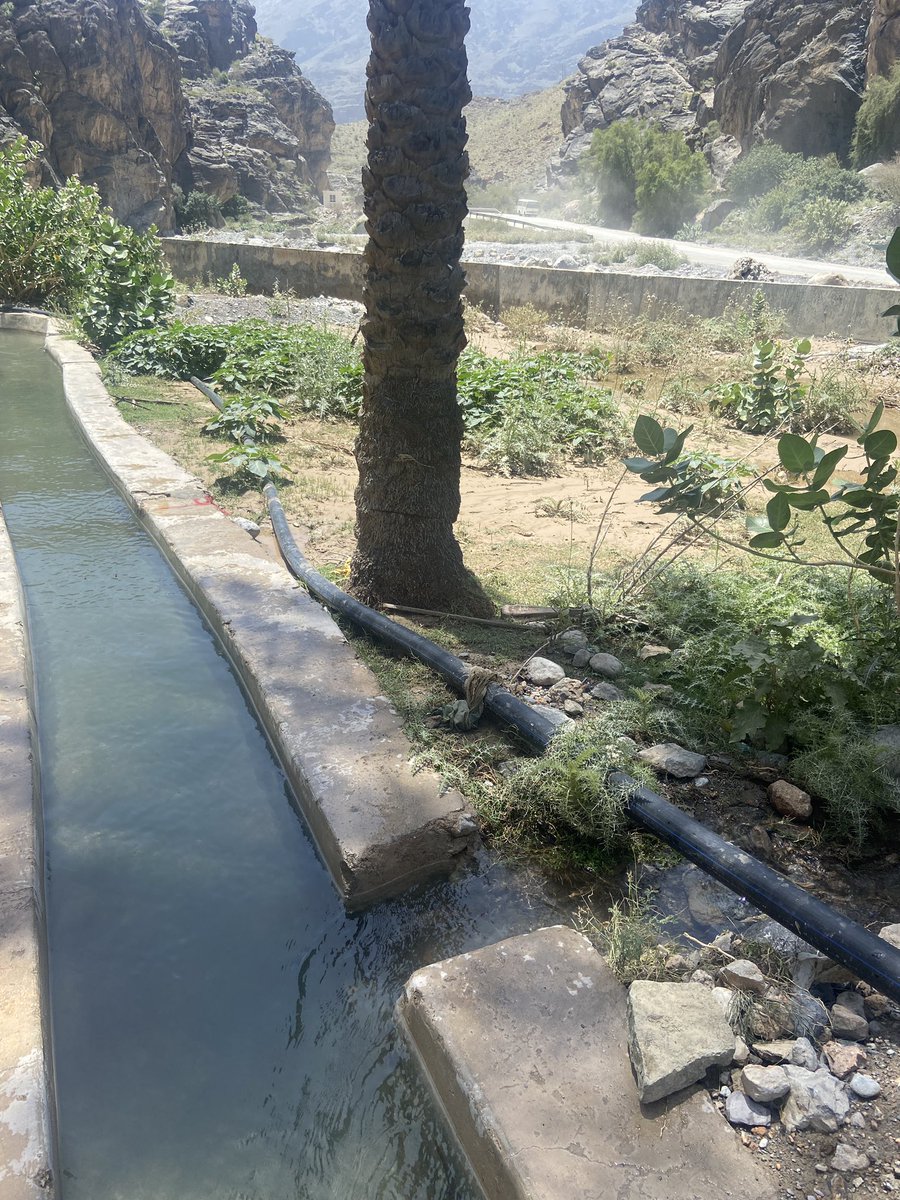 فلج بلدة ستال .. نشكر الله تعالى على هذه النعمة تاريخ 18/4/2024