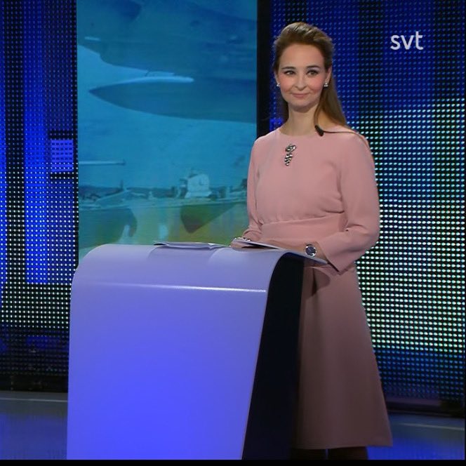 Två 30 minuters program som spänner över några av samtidens viktigaste frågor med koppling till EU; Ukraina och säkerheten, gränsöverskridande kriminalitet, migration och klimat. I debatten jag medverkade i deltog också toppkandidaterna från S, C och SD. Tydliga skiljelinjer och